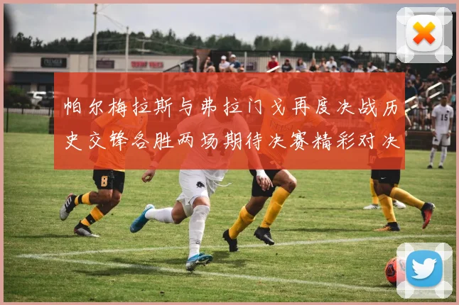 帕尔梅拉斯与弗拉门戈再度决战历史交锋各胜两场期待决赛精彩对决